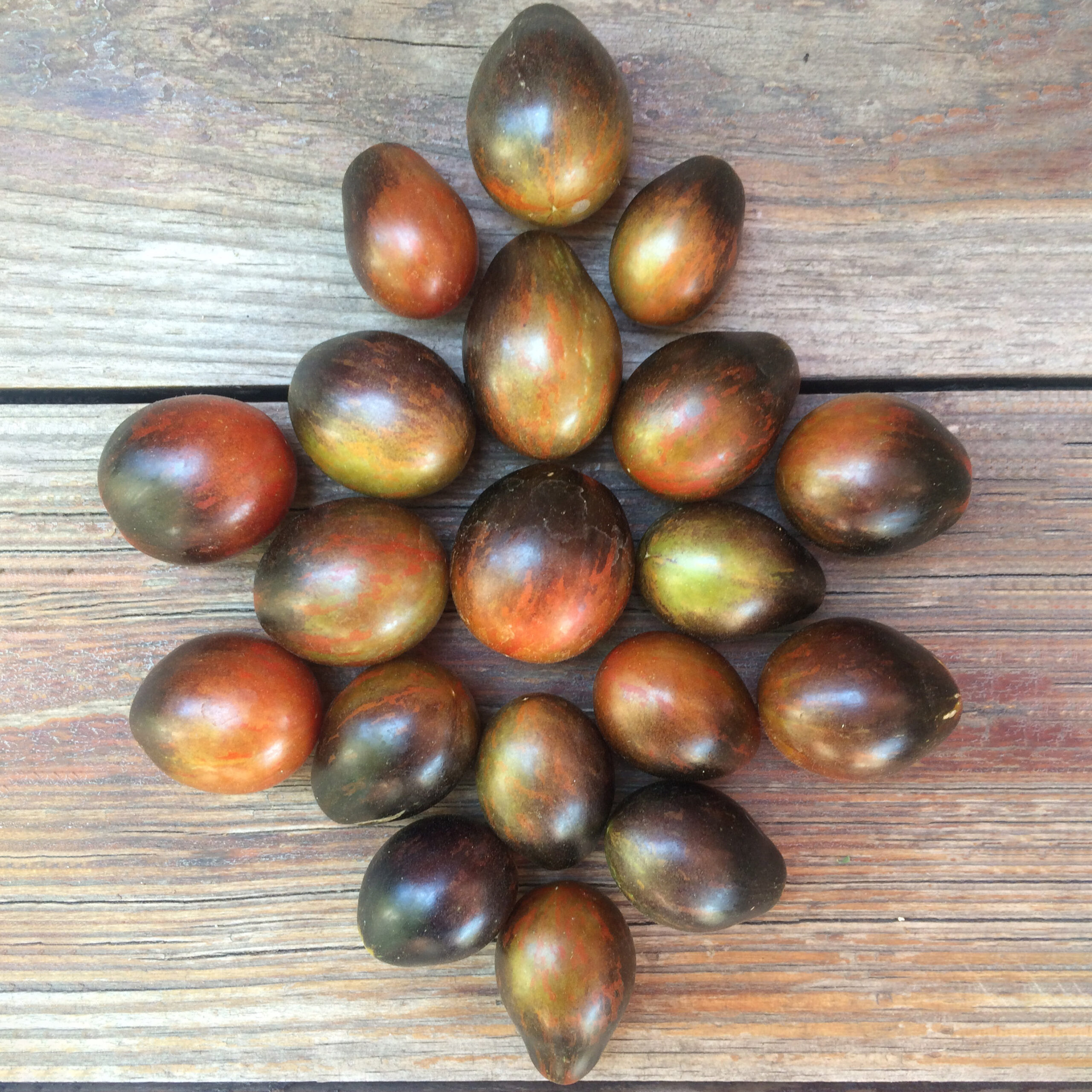 Tomato Black Keyes Common Sense Seeds