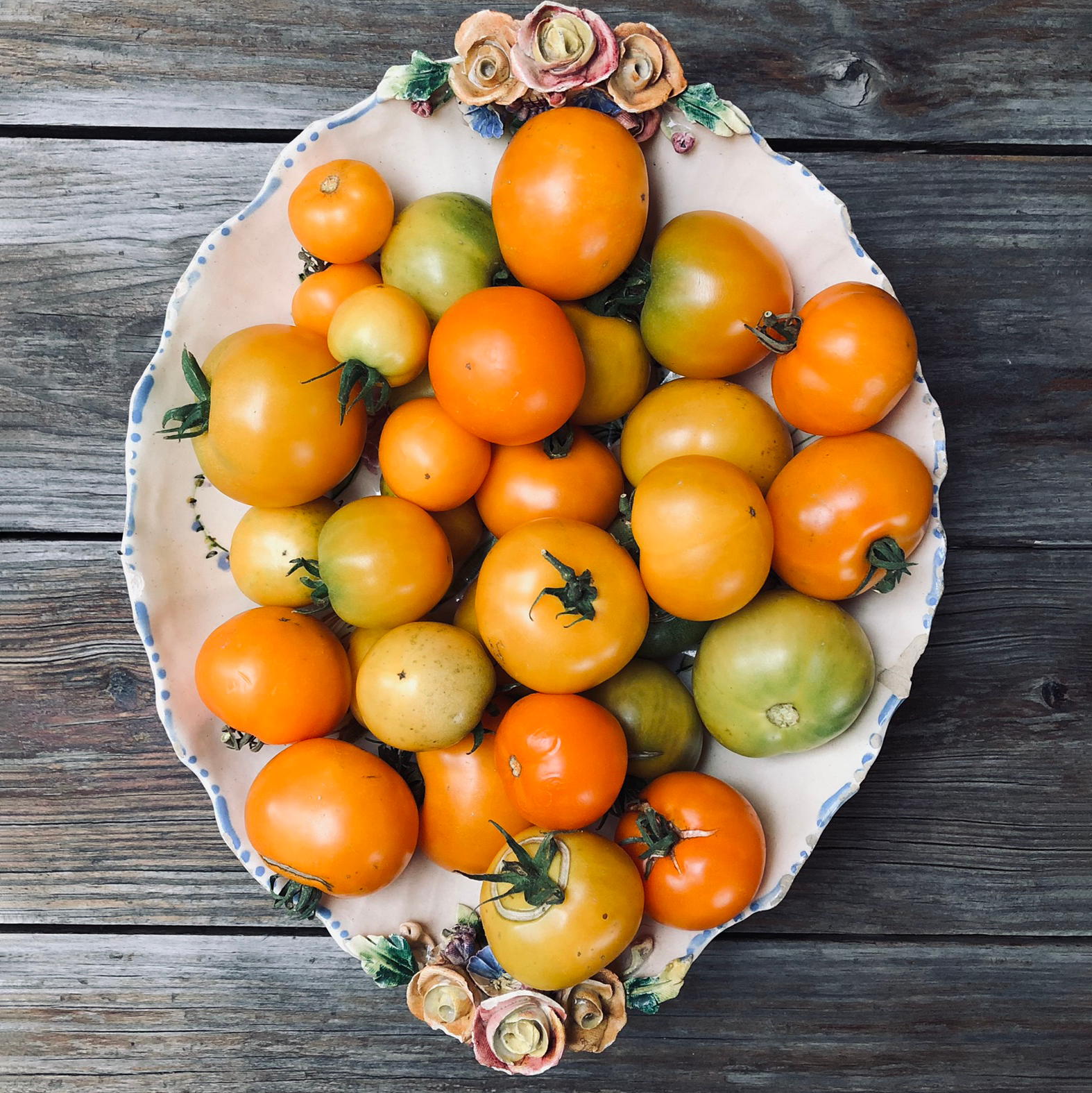 Tomato - Orange Pixie - Common Sense Seeds