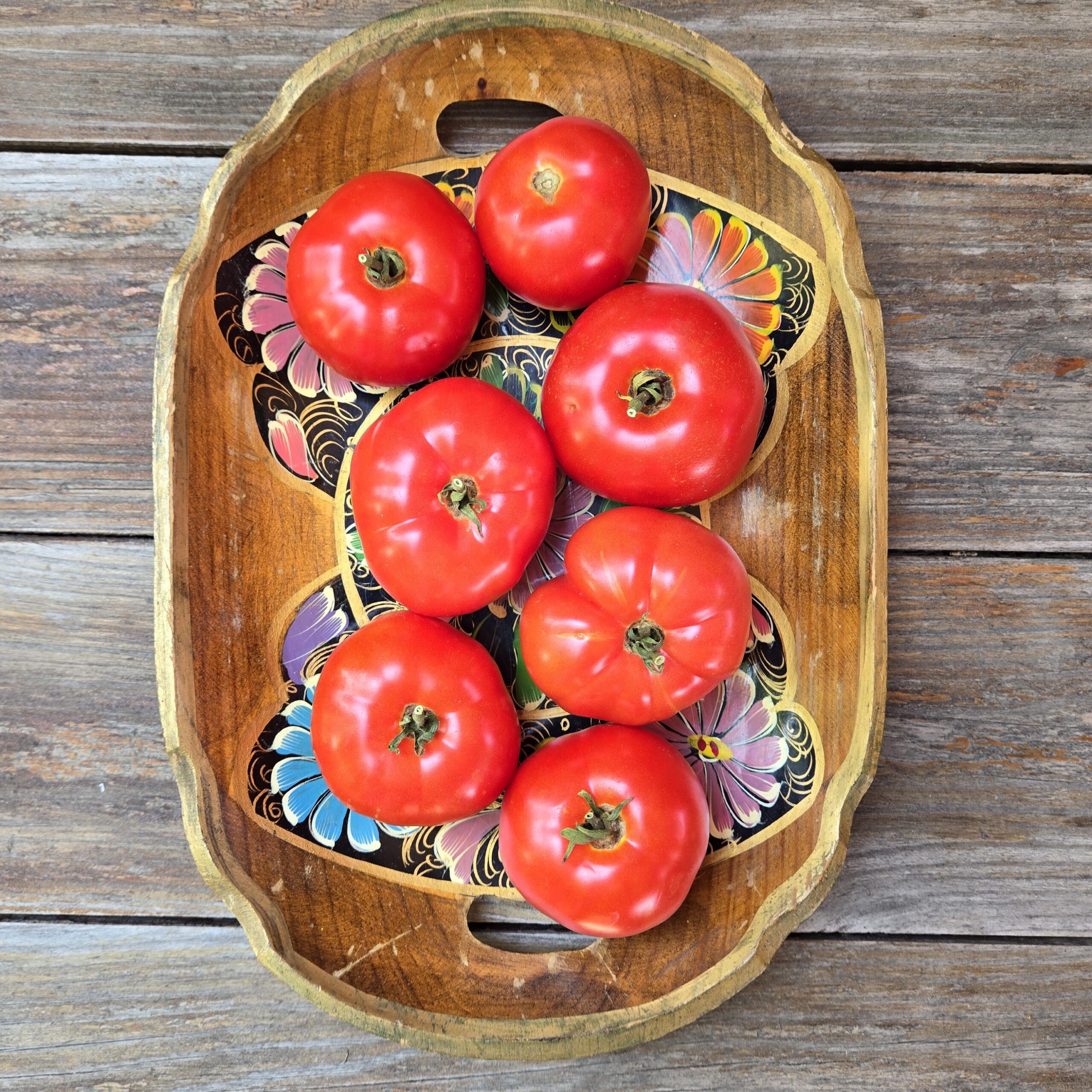 Tomato - Stanley Zubrowski - Common Sense Seeds