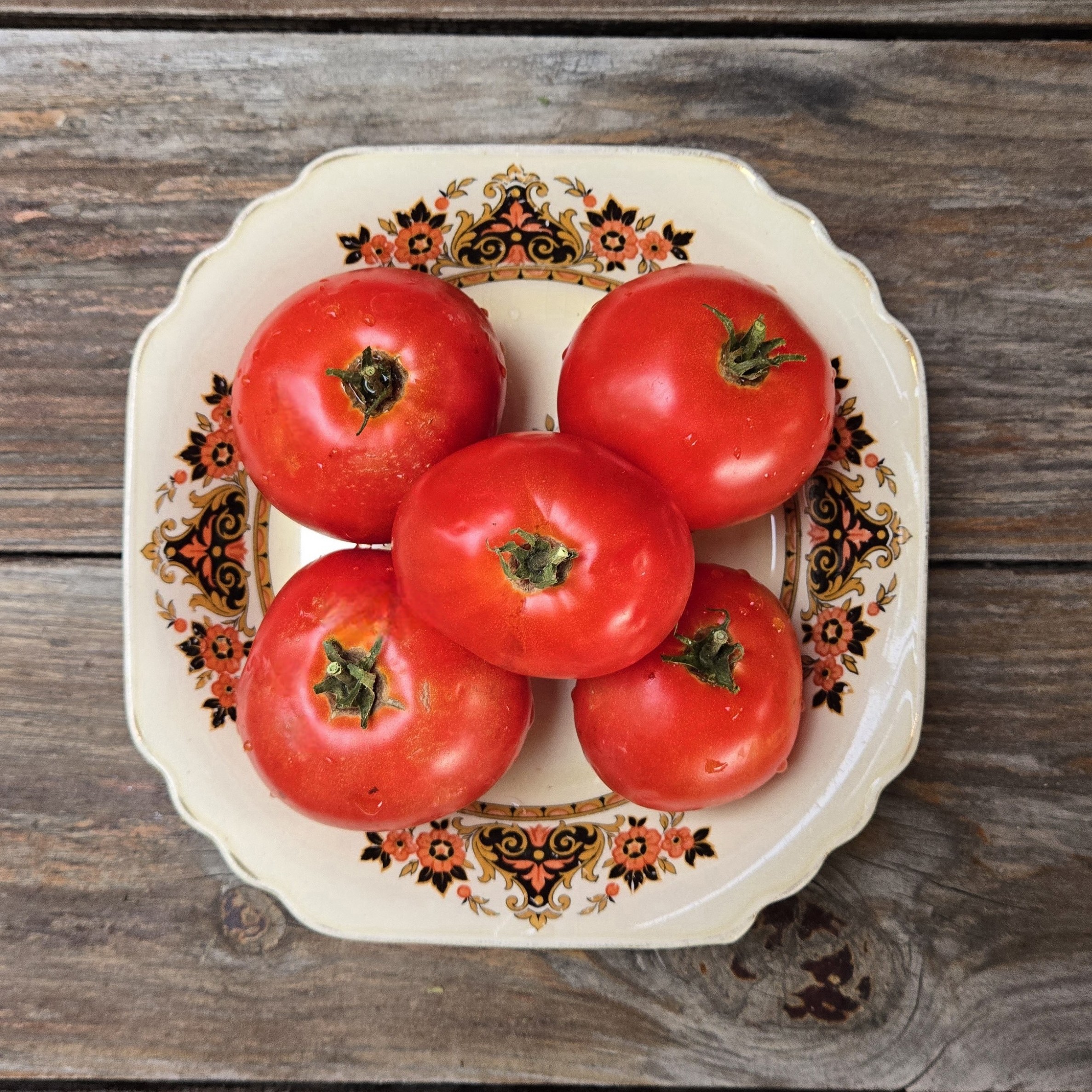 トイガン TOMATO Arctic-Fire-_main.jpg